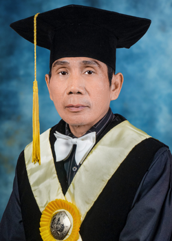 Prof. Dr. Muhammad Halilintar, MM